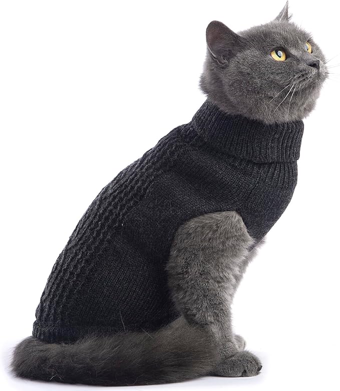 Stretchy Cat Sweater - Image 4