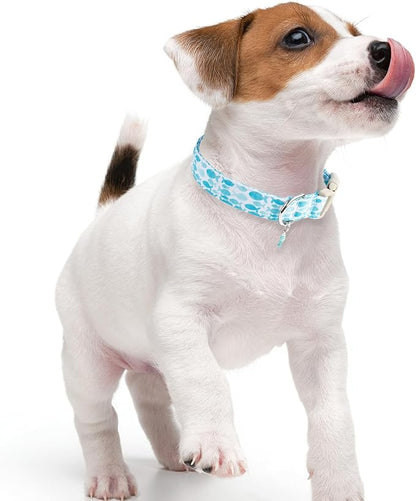 Faygarsle Fish Pattern Dog Collar, Adjustable - Image 7