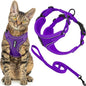 Voyager Escape-Proof Step-in Lock Cat Harness & 5ft Neoprene-Handle Leash Set by BestPetSuppliesLLC