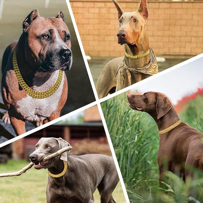 Stainless Steel & 18K Gold Dog Chain Collar - Image 7