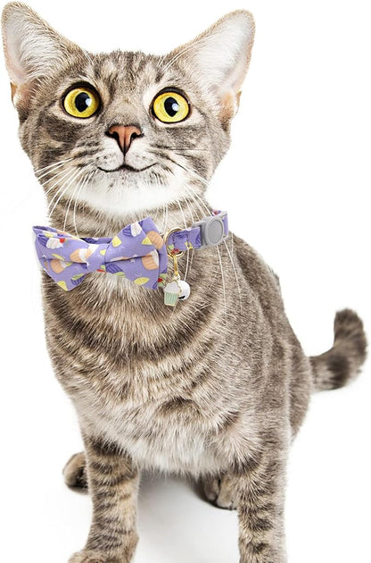 Faygarsle 2 Pack Cute Breakaway Cat Collar - Image 7