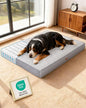 OhGeni Orthopedic Waterproof Dog Bed by OhGeni