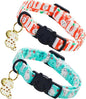 Easter Cat Collar-2 Pack Collars White and Orange Rabbit Print Breakaway by BoboRainbow