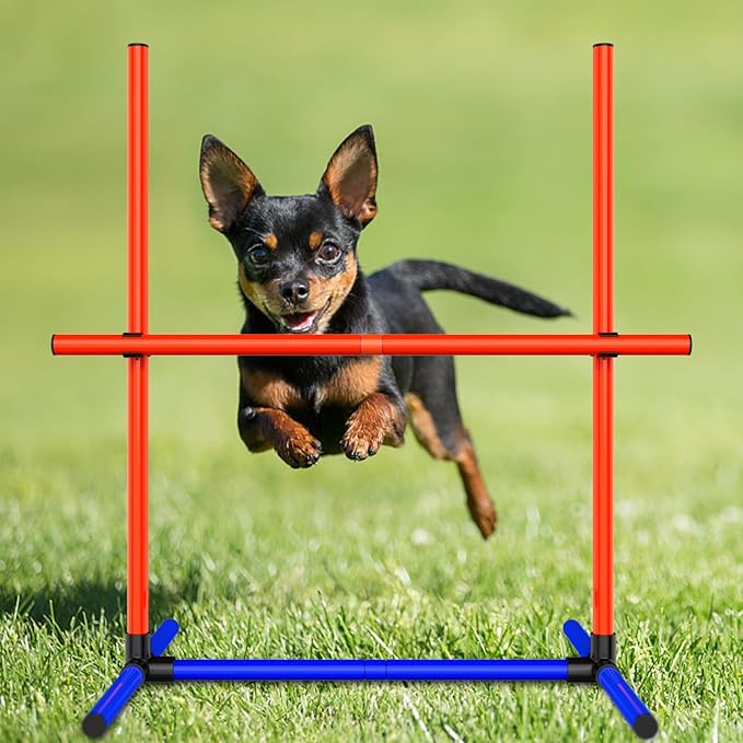 Dog Agility Training Jumping Hoop - Image 5