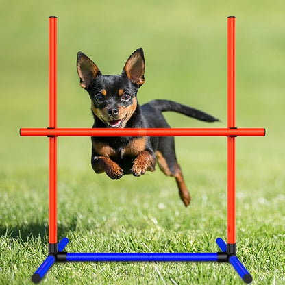 Dog Agility Training Jumping Hoop - Image 5