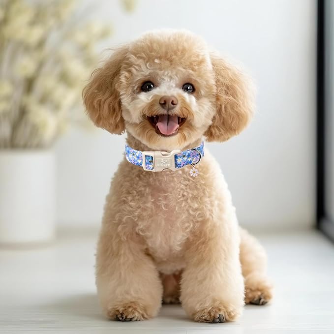 Floral Dog Collar for Medium Dogs - Image 2