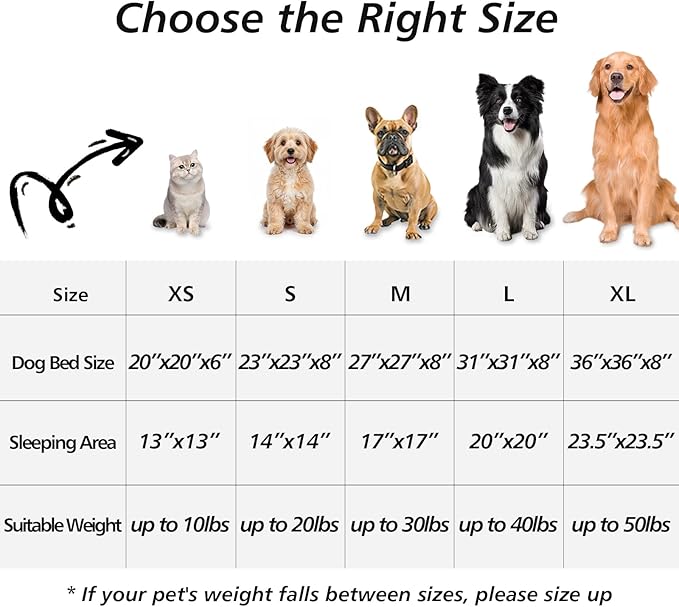 JOLLYVOGUE Calming Dog Bed for Small Dogs - Image 6