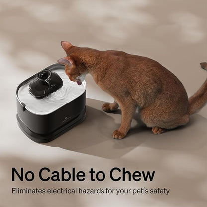 Bundle of PETLIBRO Cat Water Fountain, Cordless Pet Water Fountain Battery - Image 6