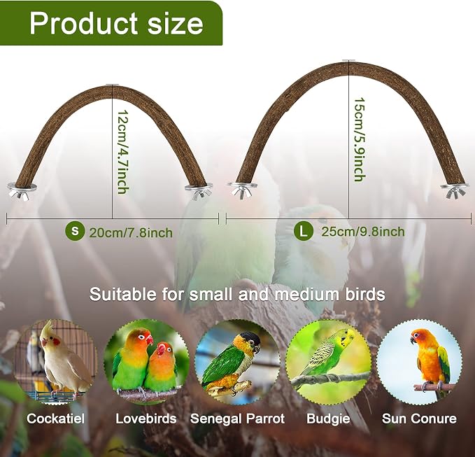Rypet Parrot Natural Wood Stand Perch, Swing U Shape Natural Parrot Perch - Image 2
