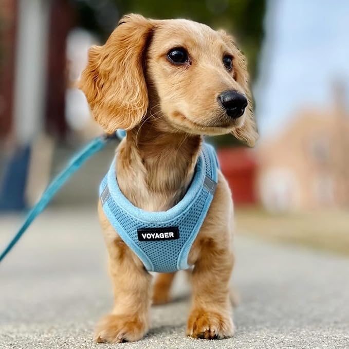 Best Pet Supplies Voyager Step-in Air All Weather Mesh Harness and Reflective - Image 7