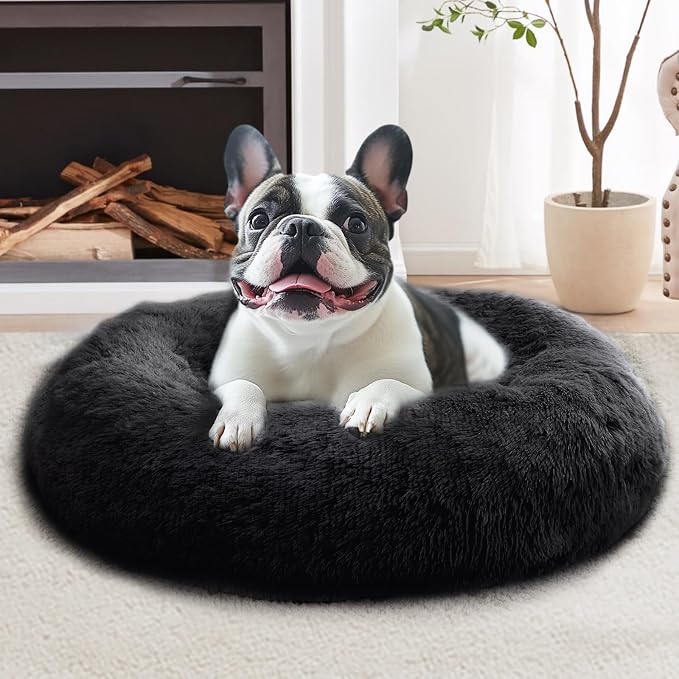 JOLLYVOGUE Calming Small Dog & Cat Bed by JOLLYVOGUE