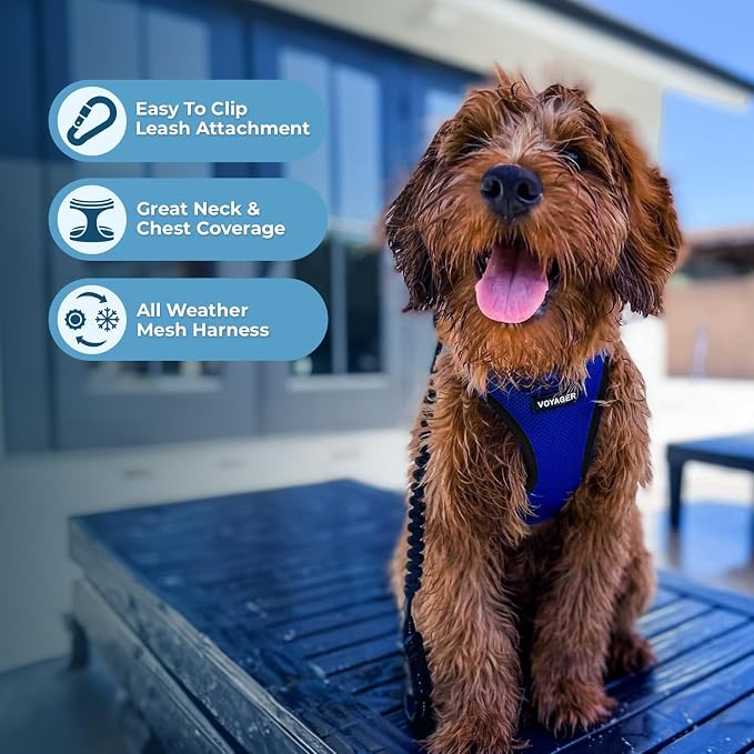 Best Pet Supplies Voyager Step-in Air All Weather Mesh Harness and Reflective - Image 5