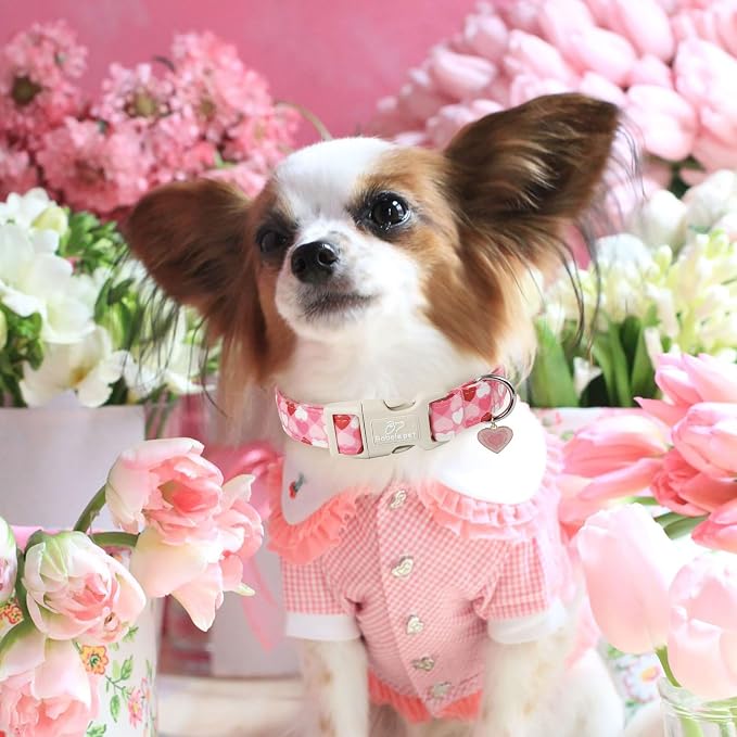 Valentines Dog Collar for Medium Dogs - Image 2