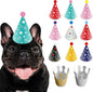Dog Birthday Party Hat Set, Reusable & Adorable Kitty/Doggy Birthday by Unknown