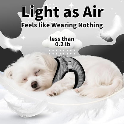 AIITLE Step in Dog Harness and Leash Set - Image 5