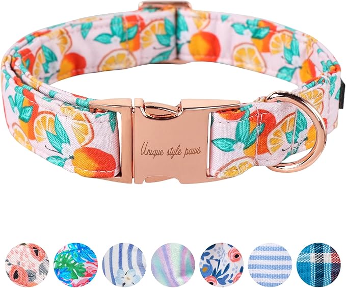 Unique style paws Dog Collar Metal Buckle Orange Collar Gift Durable Cute Collar by Uniquestylepaws