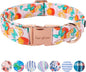 Unique style paws Dog Collar Metal Buckle Orange Collar Gift Durable Cute Collar by Uniquestylepaws