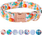 Unique style paws Dog Collar Metal Buckle Orange Collar Gift Durable Cute Collar by Uniquestylepaws