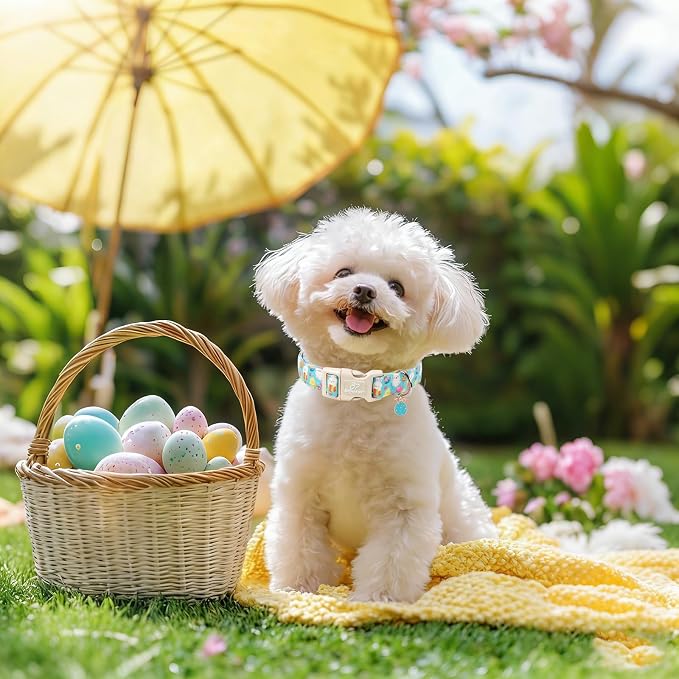 Easter Dog Collar for Giant Large Dogs - Image 5