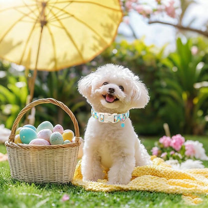 Easter Dog Collar for Giant Large Dogs - Image 5