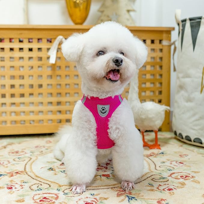PUPTECK Adjustable Dog Harness Collar and Leash Set Step in No Pull Pet Harness - Image 7