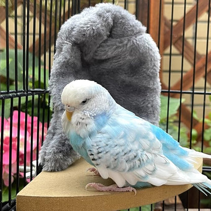 Comfort Corner Fleece Bird Blanket Parrot Cage Snuggle Hut Warm Bird Nest House - Image 3
