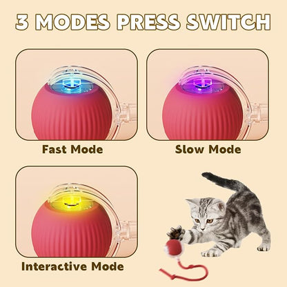 Chewie Viral Rolling Pet Ball, Interactive Cat & Dog Toy, 360 Smart Automatic - Image 3