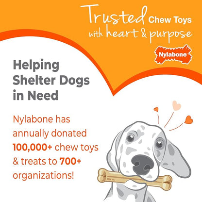 Nylabone Puppy Chew Key Ring Toy, Toys - Image 10