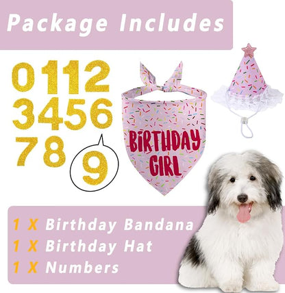 Dog Birthday Bandana Set, Light Pink Birthday Girl Decorations, HBD Party - Image 2