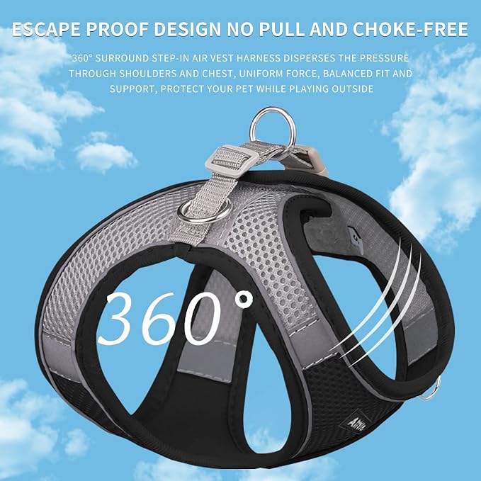 AIITLE Step in Dog Harness and Leash Set - Image 3