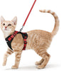 rabbitgoo Cat Harness and Leash by rabbitgoo