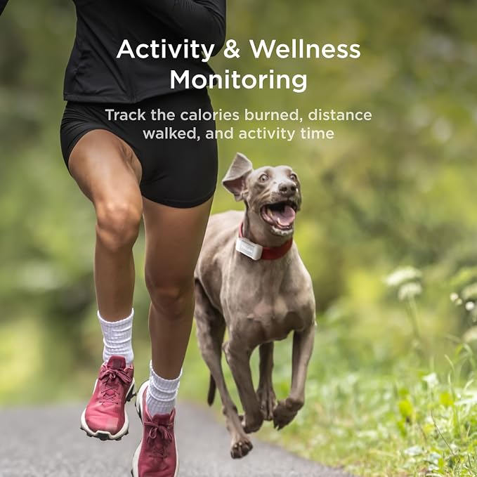 Petcube GPS Tracker for Dogs – Real-Time Location Tracking, Escape Alerts & - Image 6