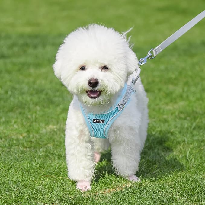 AIITLE Escape Proof Dog Harness - Image 7