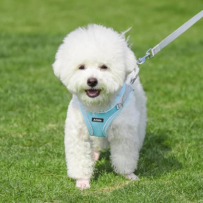 AIITLE Escape Proof Dog Harness - Image 7