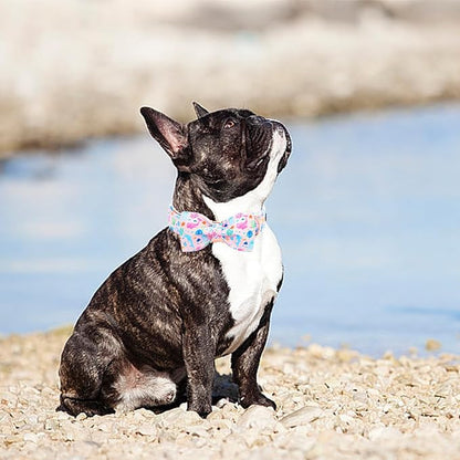 Lionheart glory Dog Bow Collar Sea Animals Print Pink Dog Collar - Image 6