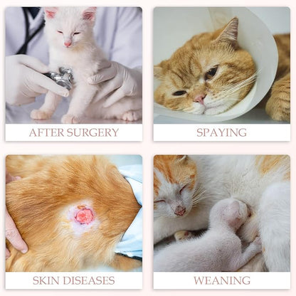 ANWA 2 Pack Cat Recovery Suit - Image 6