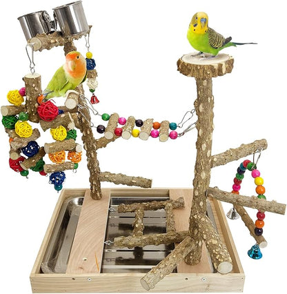PINVNBY Bird Playground Natural Wood Parrot Perch Stand Bird Play Gym Colorful by PINVNBY