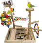 PINVNBY Bird Playground Natural Wood Parrot Perch Stand Bird Play Gym Colorful by PINVNBY