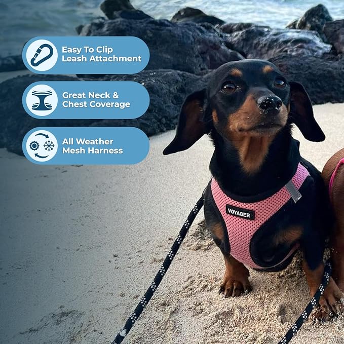 Best Pet Supplies Voyager Step-in Air Harness - Image 5