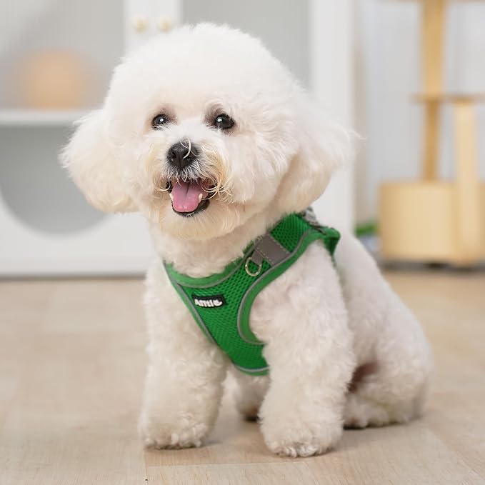 AIITLE Dog Harness, No-Pull Cat Harness - Image 2