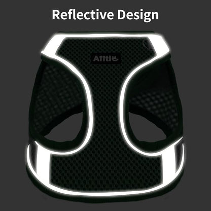 AIITLE Step in Dog Harness and Leash Set - Image 3