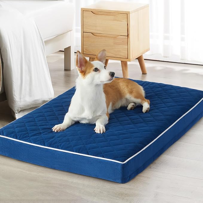 WNPETHOME Orthopedic XL Dog Beds Large Sized Dog, Waterproof Extra Large Dogs by WNPETHOMEPETSHOME