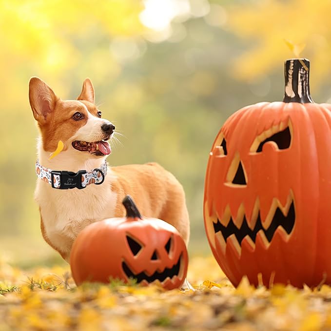 Fall Dog Collar, Cute Orange Pumpkin Pattern Puppy Collar, Soft Comfort - Image 3