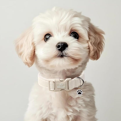 Cute Corduroy Dog Collar - Image 2