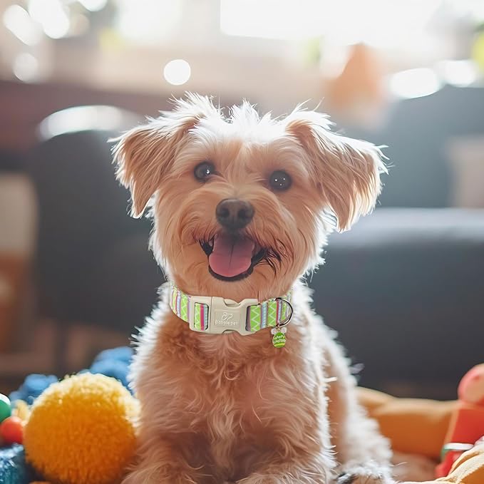 Easter Dog Collar for Large Dogs - Image 2