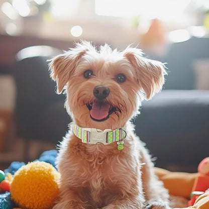 Easter Dog Collar for Large Dogs - Image 2