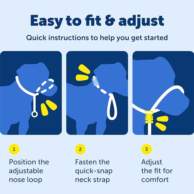 PetSafe Gentle Leader Headcollar - Image 7
