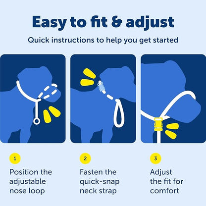 PetSafe Gentle Leader Headcollar - Image 7