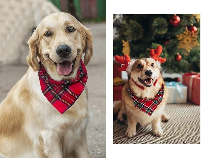 Birthday Plaid Dog Bandana - Image 8