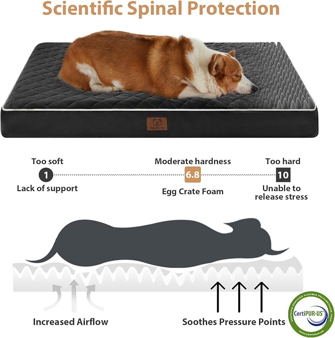 WNPETHOME Orthopedic XL Dog Beds Large Sized Dog, Waterproof Extra Large Dogs - Image 3